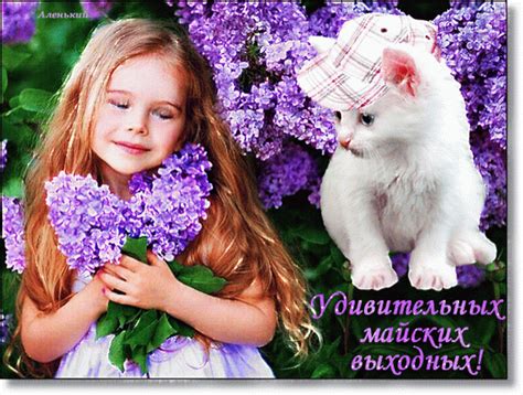Мир картинок анимаций