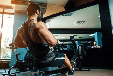 rowing workouts  fitness  fat burning fitness volt