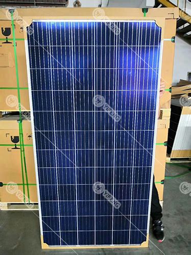 Risen Energy W W Bifacial Monocrystalline Watt W W