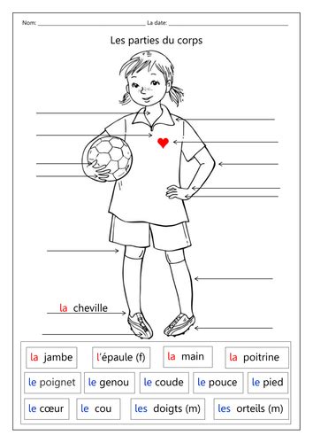 Les Parties Du Corps Une Fille By Labellaroma Teaching Resources Tes