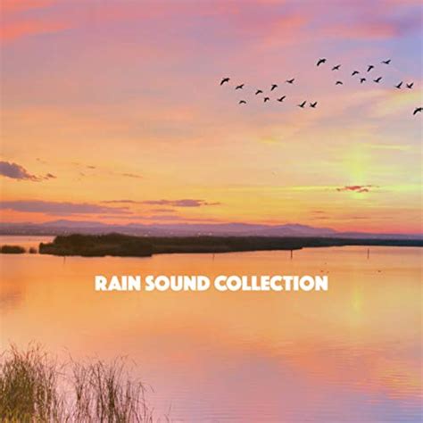 Rain Sound Collection Rain Sounds And Rain For Deep Sleep