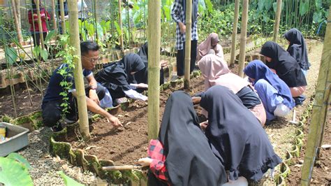 Latih Keterampilan Berkebun Ekstrakurikuler Hortikultura AABS