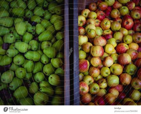 apple with pear comparison - a Royalty Free Stock Photo from Photocase