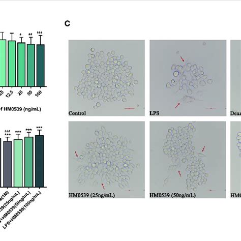 Hm Improves Cell Viability In Lps Induced Raw Cells A The