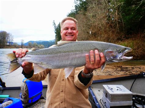 Umpqua River Steelhead Fishing