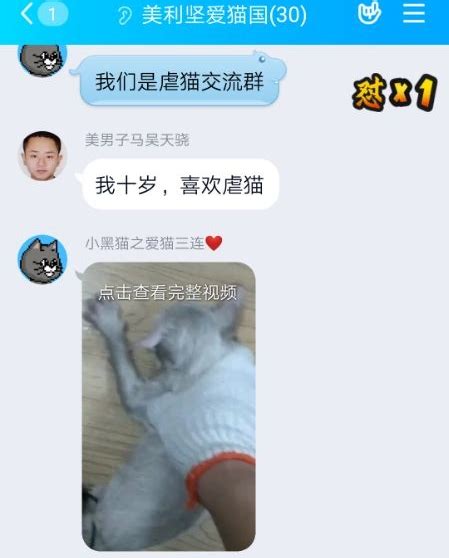 大学生虐猫被曝光后：虐猫群微博引流，有人称“最想虐婴儿”凤凰网