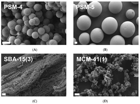 Pharmaceutics Free Full Text The Anti Obesity Effect Of Porous