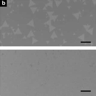 Optical Properties Of Large Area Monolayer MoS2 Grown On Sapphire Using