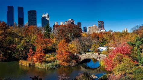 Top Central Park Attractions You Need to See