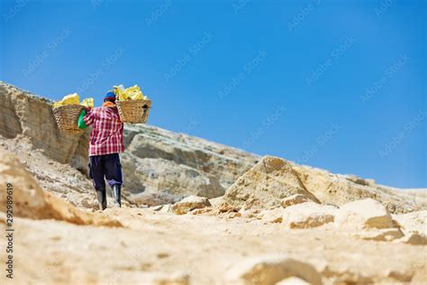 Heavy Basket Laden By Pieces Of Natural Sulfur Carrying By Miner From