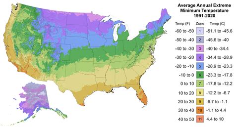 Us Hardiness Zone Map 2024 Pdf - Cassy Zuzana