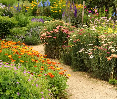 Beautiful And Functional Flower Garden Paths