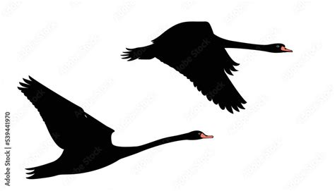 Silhouette Of A Black Swan Flying In The Sky Swan Flat Design Vector