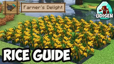 Minecraft Farmers Delight Wild Rice Minecraft Farmers Delight How To Get Rice Youtube