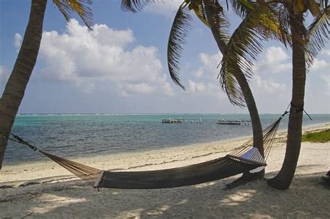 Isole Cayman Caraibi Dove Si Trovano Quando Andare E Cosa Vedere