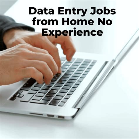 Data Entry Jobs From Home No Experience Dollar Catalyst