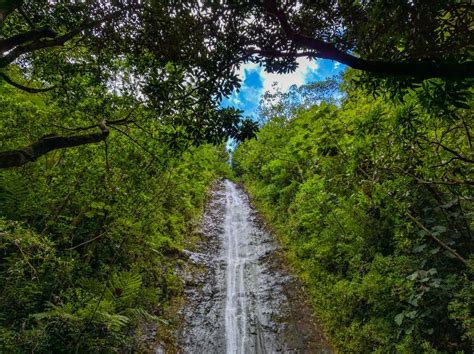 15 Amazing Waterfalls In Hawaii The Crazy Tourist