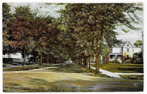 The Leafy Suburb - Roselle Park, New Jersey (1908) - History In The ...