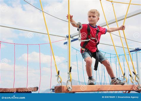 Brave Blond Hair Kid Playing Rope Course Outdoor Stock Image - Image of leisure, high: 83878689