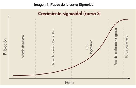 La Curva S O Sigmoidea Analitika