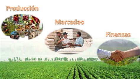 Cecape Gestion Administrativa En Las Empresas Agropecuarias