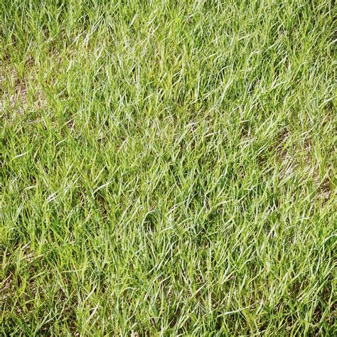 Artstation Grass For Landscaping Vol01 Resources