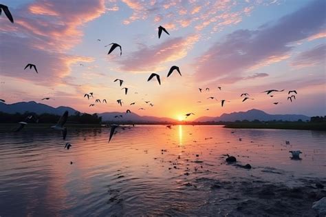 Premium Photo Birds Flying Over Thai Lake At Sunset