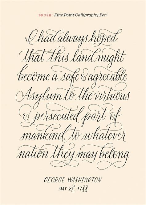 Calligraphy Nibs Procreate Brush Pack Design Cuts