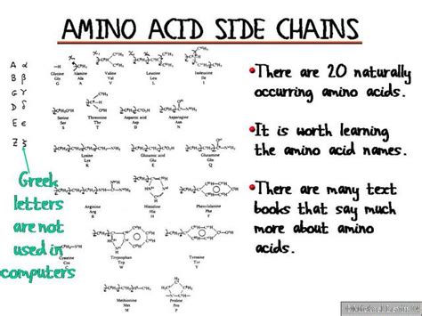 Amino Acid Side Chains