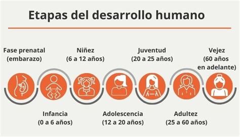 Etapas Del Desarrollo Humano Cuáles Son Edades Y Sus Características Enciclopedia Significados