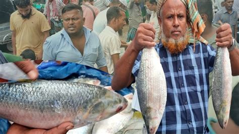 ঢাকার সবচেয়ে বড় পাইকারি মাছের বাজার ঢাকা কাওরান বাজার আজকের