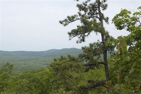 Stokes State Forest Sunrise Mountain