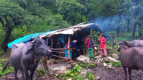 Organic Nepali Mountain Village Life In Nepal Natural Beauty Of Rural