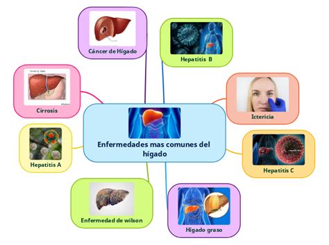 Enfermedades Mas Comunes Del H Gado Mind Map