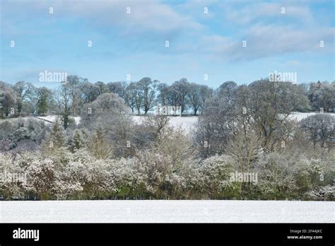 Cotswold Countryside In The Spring Snow Bourton On The Hill Cotswolds