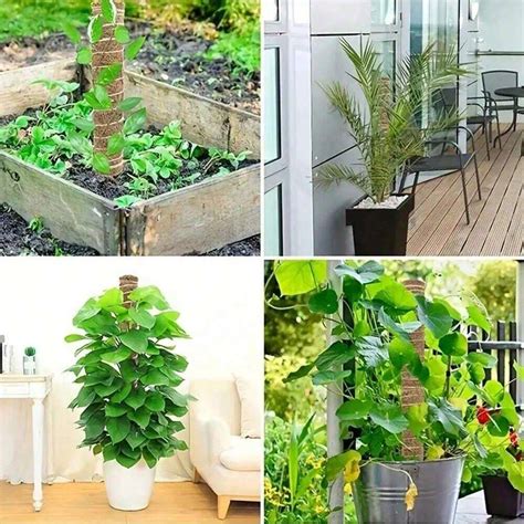 Suporte De Plantas Para Ambientes Externos Suporte De Plantas Pequeno