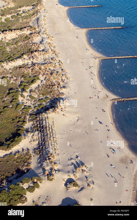 France Camargue Gard Le Grau Du Roi Plage De L Espiguette