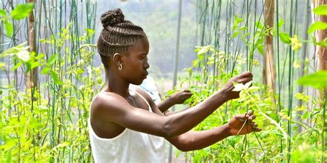 Voices From The Field Young Women Farmers Anchor Cgiar Session At