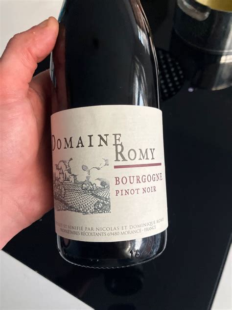 2020 Domaine Romy Pinot Noir Bourgogne France Burgundy Bourgogne