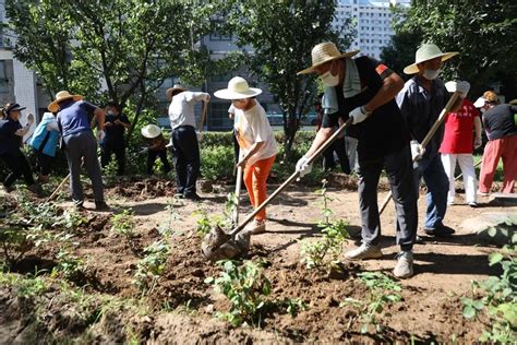 文明创建进行时 打造花园式社区，优美环境你我共享