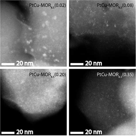 Haadf Stem Micrographs Of The Different Ptcu Mor Materials After