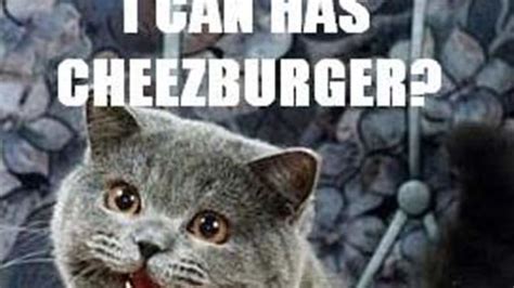 Can I Has Cheezburger The Internet Phenomenon Explained