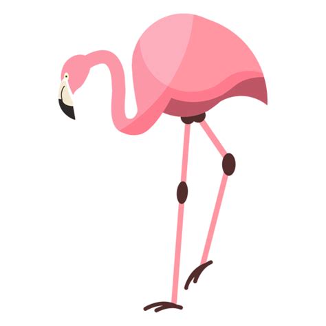 Design Png E Svg De Flamingo Rosa Bico Perna Plana Para Camisetas