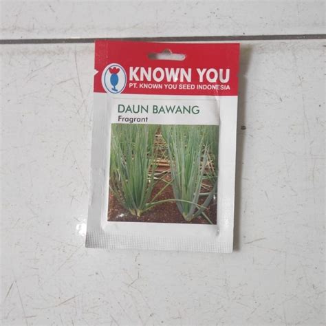 Jual Benih Bibit Daun Bawang Fragrant Know You Seed 5 G Shopee Indonesia