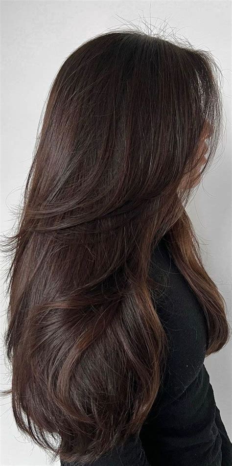 Pin By Chloee Klo On Hair Inspo Brown Hair Inspo Brown Hair