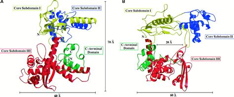 Structural Insights Into The Gating Of DNA Passage By The 55 OFF