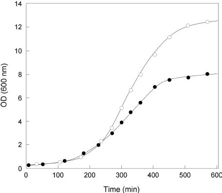 Growth Curves Of The Wild Type E And Ltsa C Glutamicum