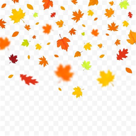 Premium Vector Autumn Falling Leaves Isolated On White Background