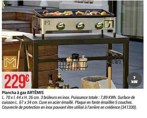 Promo Plancha à Gaz Artémis chez Bricorama iCatalogue fr