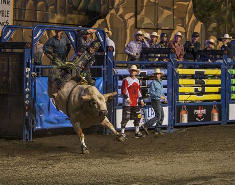 Alvidrez Takes Top Honors In First Night Of Pbr Sports